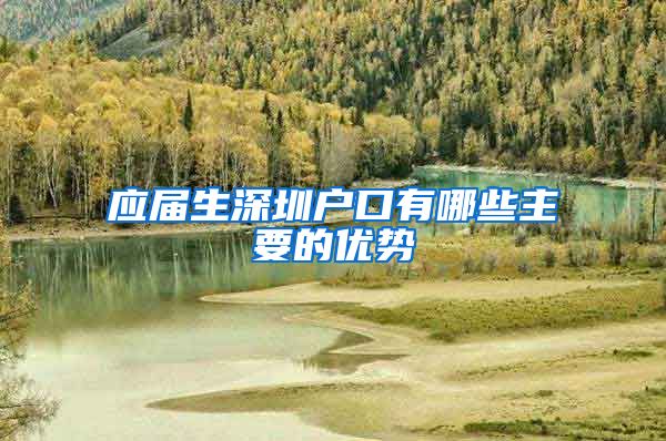 应届生深圳户口有哪些主要的优势