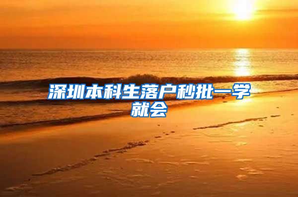 深圳本科生落户秒批一学就会