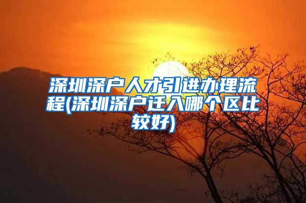 深圳深户人才引进办理流程(深圳深户迁入哪个区比较好)