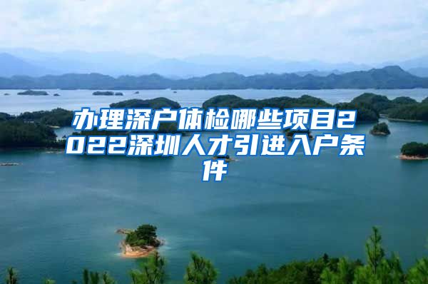 办理深户体检哪些项目2022深圳人才引进入户条件