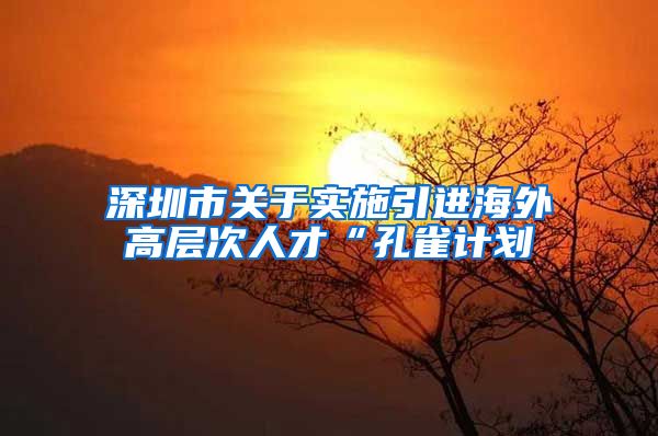 深圳市关于实施引进海外高层次人才“孔雀计划