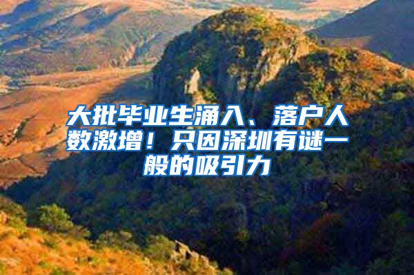 大批毕业生涌入、落户人数激增！只因深圳有谜一般的吸引力