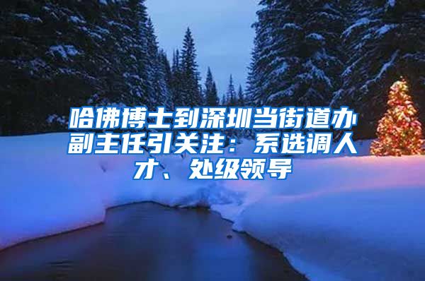哈佛博士到深圳当街道办副主任引关注：系选调人才、处级领导