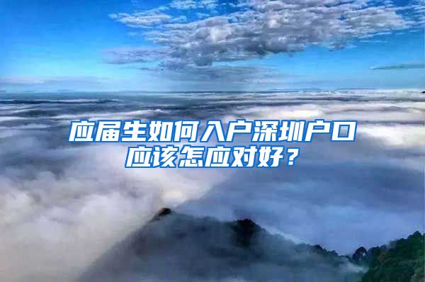 应届生如何入户深圳户口应该怎应对好？