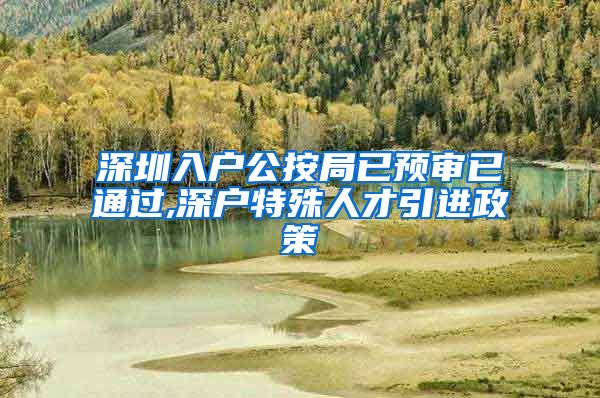 深圳入户公按局已预审已通过,深户特殊人才引进政策