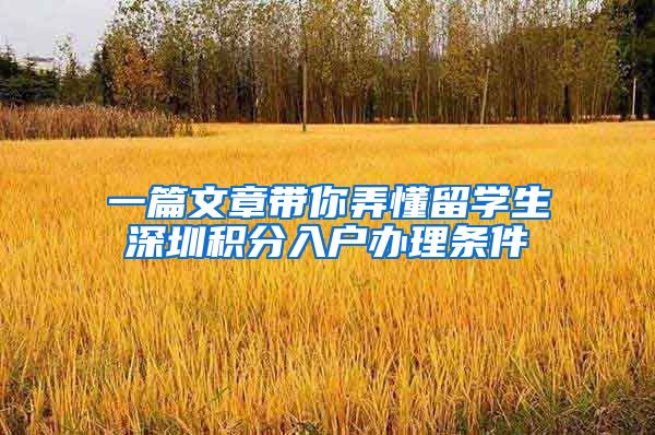 一篇文章带你弄懂留学生深圳积分入户办理条件