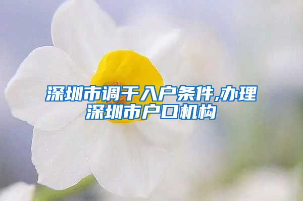 深圳市调干入户条件,办理深圳市户口机构
