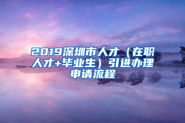 2019深圳市人才（在职人才+毕业生）引进办理申请流程