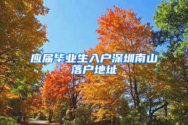 应届毕业生入户深圳南山落户地址