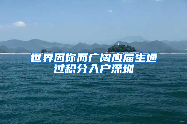 世界因你而广阔应届生通过积分入户深圳