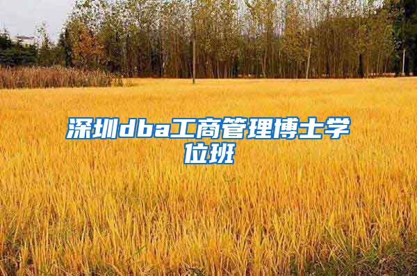 深圳dba工商管理博士学位班