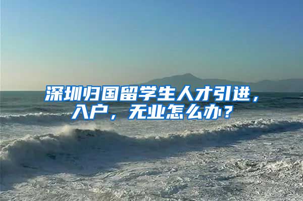 深圳归国留学生人才引进，入户，无业怎么办？