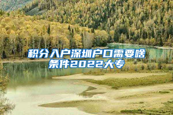 积分入户深圳户口需要啥条件2022大专