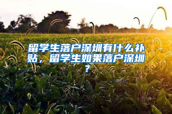 留学生落户深圳有什么补贴，留学生如果落户深圳？