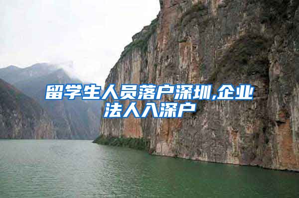 留学生人员落户深圳,企业法人入深户