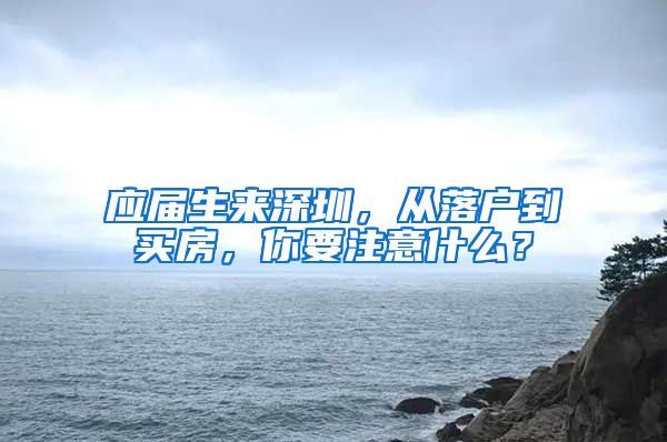 应届生来深圳，从落户到买房，你要注意什么？