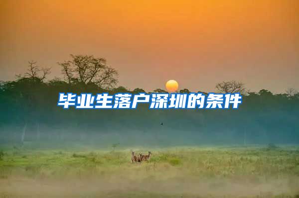毕业生落户深圳的条件