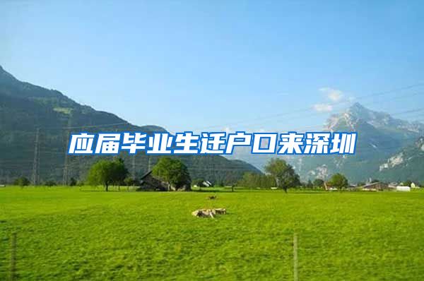 应届毕业生迁户口来深圳