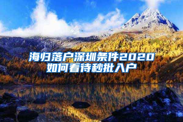海归落户深圳条件2020如何看待秒批入户