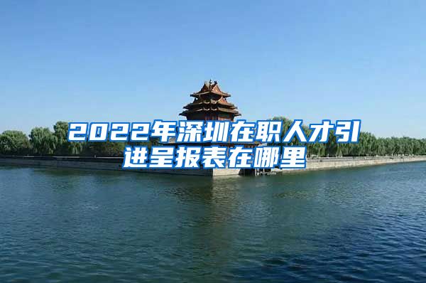 2022年深圳在职人才引进呈报表在哪里