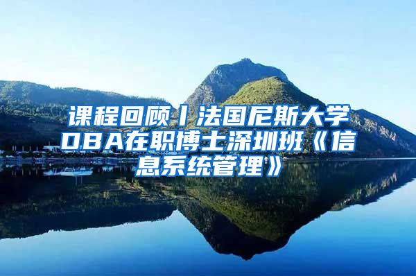 课程回顾丨法国尼斯大学DBA在职博士深圳班《信息系统管理》