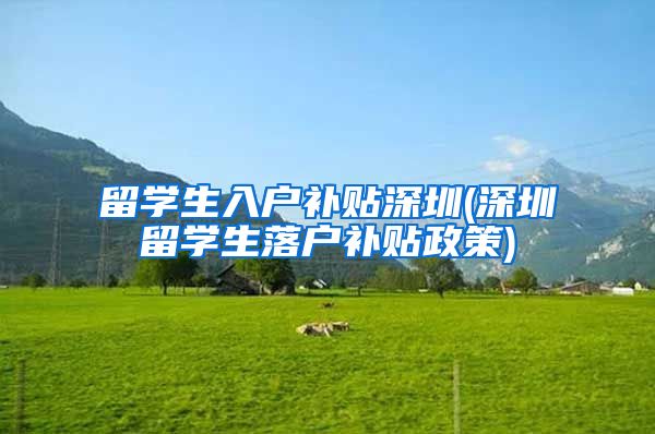 留学生入户补贴深圳(深圳留学生落户补贴政策)