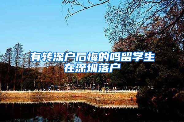 有转深户后悔的吗留学生在深圳落户