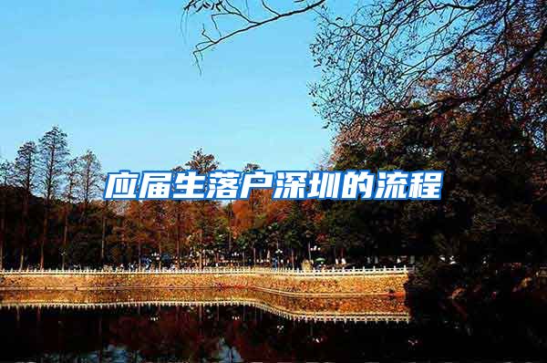 应届生落户深圳的流程