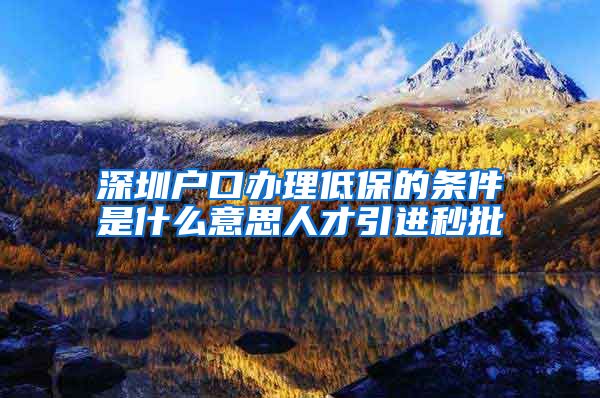 深圳户口办理低保的条件是什么意思人才引进秒批
