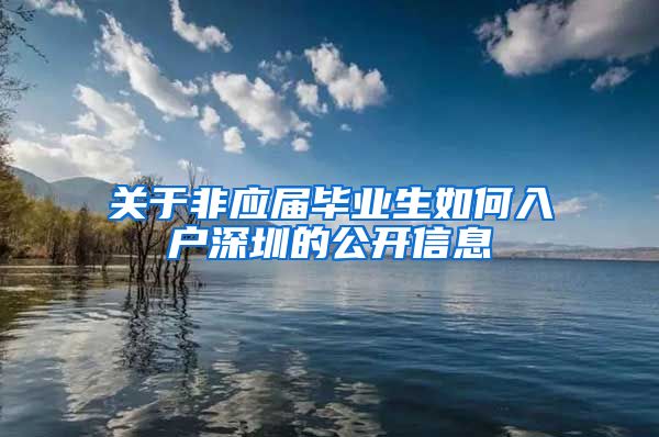 关于非应届毕业生如何入户深圳的公开信息