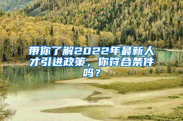 带你了解2022年最新人才引进政策，你符合条件吗？