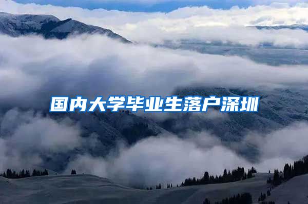 国内大学毕业生落户深圳