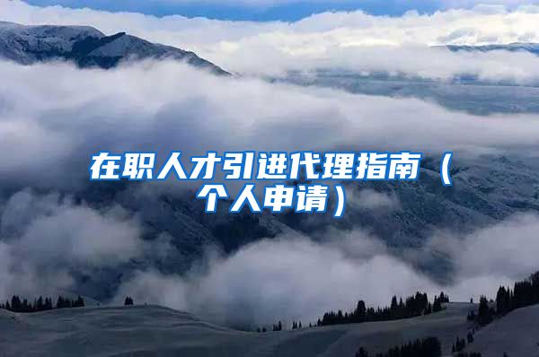 在职人才引进代理指南（个人申请）