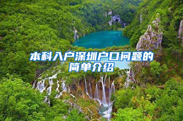 本科入户深圳户口问题的简单介绍