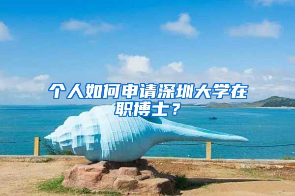 个人如何申请深圳大学在职博士？