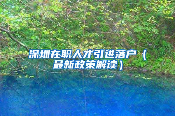 深圳在职人才引进落户（最新政策解读）