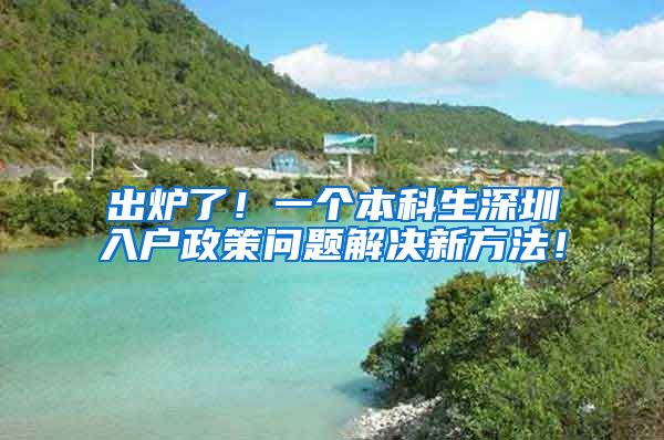 出炉了！一个本科生深圳入户政策问题解决新方法！