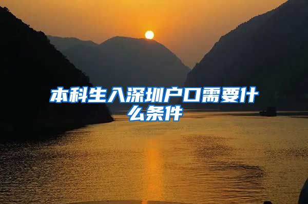 本科生入深圳户口需要什么条件