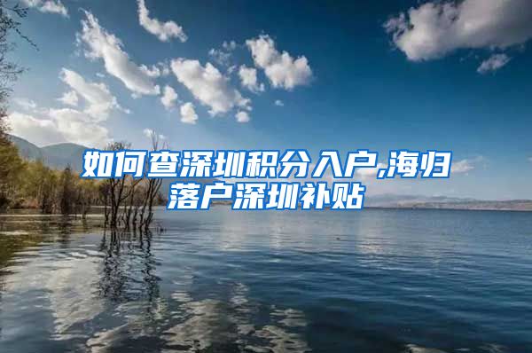 如何查深圳积分入户,海归落户深圳补贴