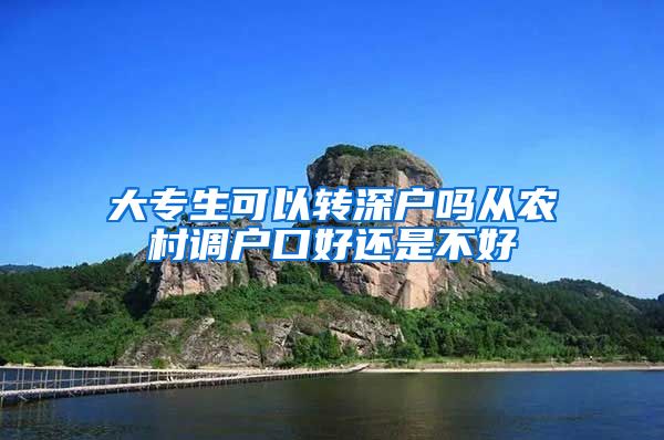 大专生可以转深户吗从农村调户口好还是不好