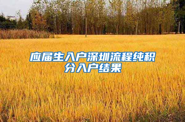 应届生入户深圳流程纯积分入户结果