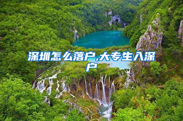 深圳怎么落户,大专生入深户