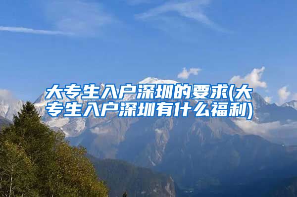 大专生入户深圳的要求(大专生入户深圳有什么福利)