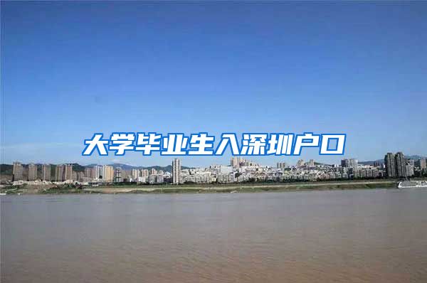 大学毕业生入深圳户口