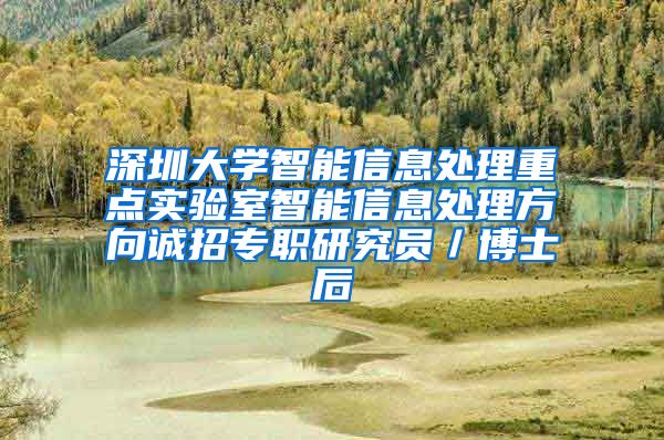 深圳大学智能信息处理重点实验室智能信息处理方向诚招专职研究员／博士后