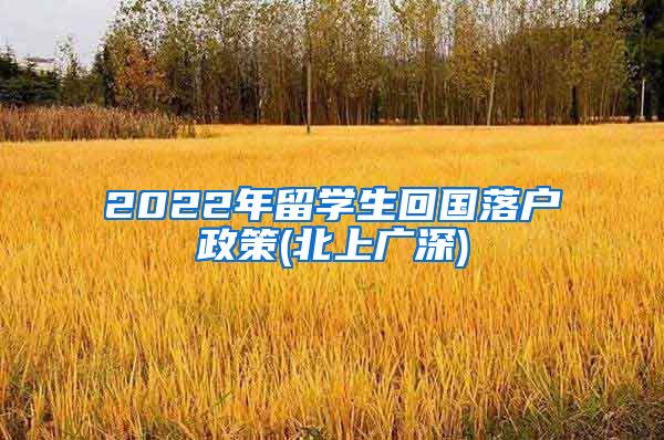 2022年留学生回国落户政策(北上广深)