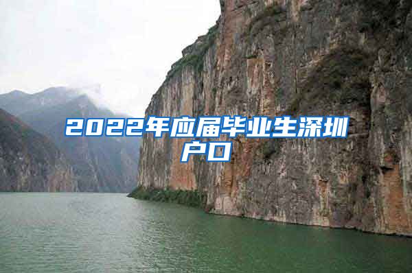2022年应届毕业生深圳户口