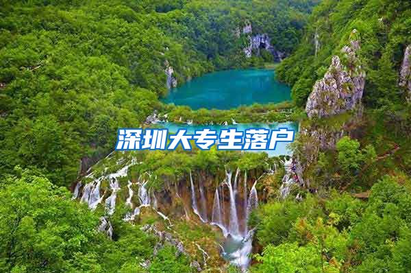 深圳大专生落户