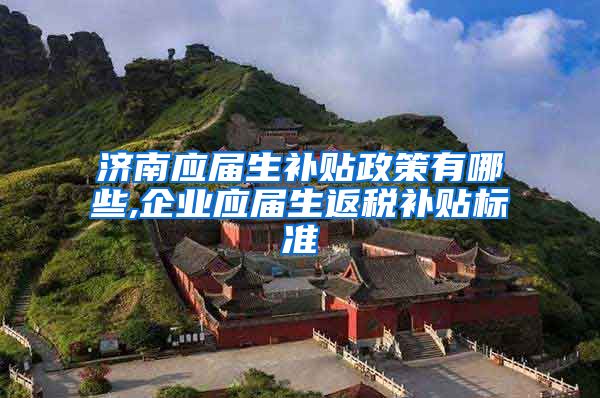 济南应届生补贴政策有哪些,企业应届生返税补贴标准