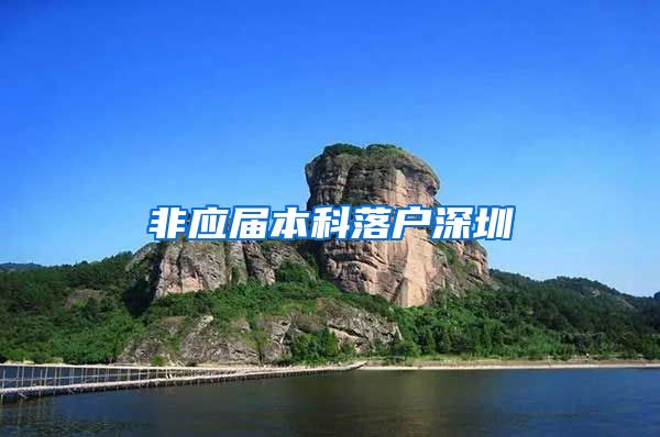 非应届本科落户深圳